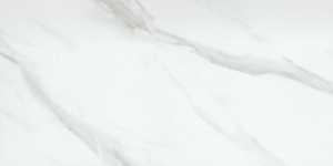 Emser Tile Nobleza Series F19NOBLAS1224 Porcelain Tile, 24 in L Tile, 12 in W Tile, Rectified Edge, Rectangular Pattern