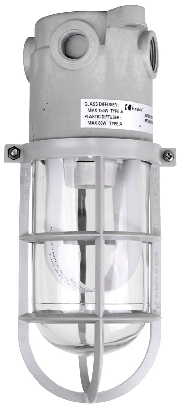 020100 LGHT CAGE W/LNS WP 150W