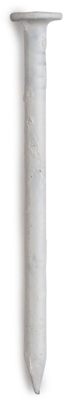 Pro-Fit 1-1/4 in. Trim Stainless Steel Nail Flat Head 1 lb Pro-Fit 1-1/4 in. Trim Stainless Steel Nail Flat Head 1 lb