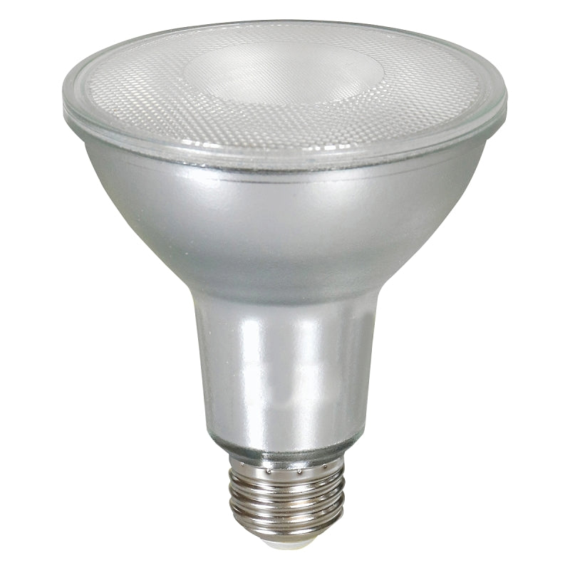 40913 BULB LED PAR30 5000K 75W