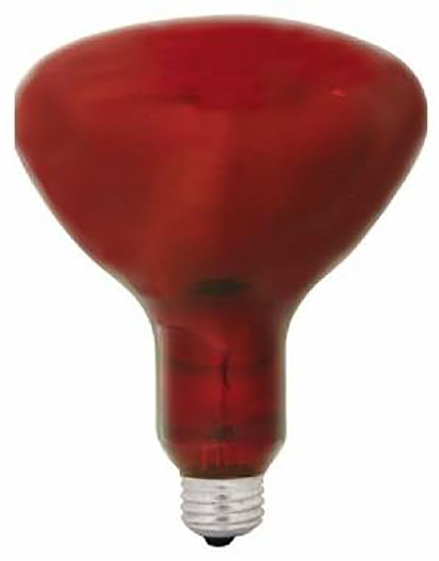 GE 37771 Heat Bulb, 250 W, R40 Lamp, E26 Medium Lamp Base, Red Light, 5000 hr Average Life