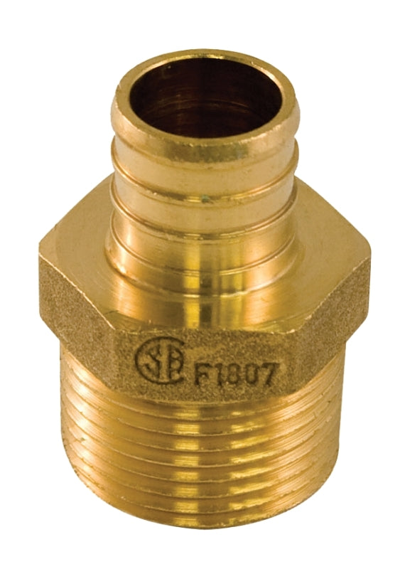 aqua-dynamic 9781-034 Pipe Adapter, 1/2 x 3/4 in, PEX x Male, Brass