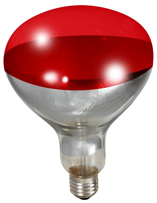 BULB FOR BROODER LAMP RED 250W