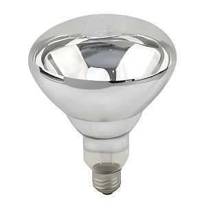 HEAT LAMP INCAN BR40 CLR 250W