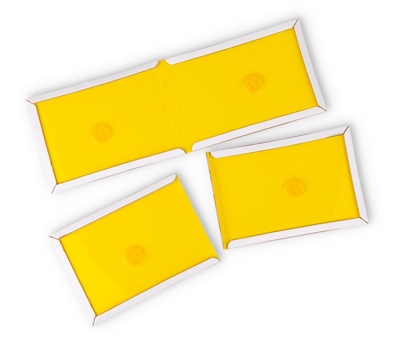 BOARD GLUE MINI MIGHTY