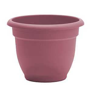 Bloem Ariana Series AP1034 Planter, Elegant, Traditional Design, Resin, Dusty Rose