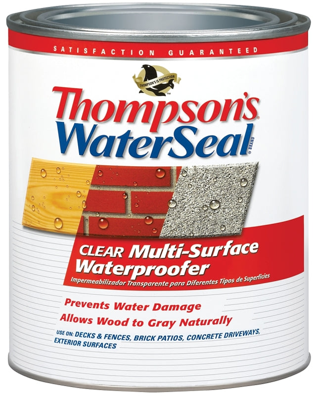Thompson's WaterSeal TH.024104-14 Waterproofer, Clear, 1 qt, Can