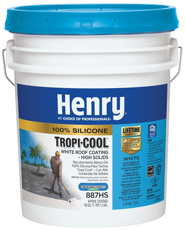 COATING ROOF SILICONE WH 4.75G