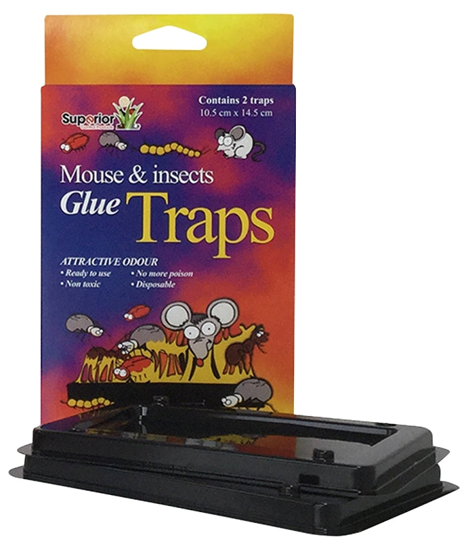 24102 MOUSE INSECTS GLUE TRAPS
