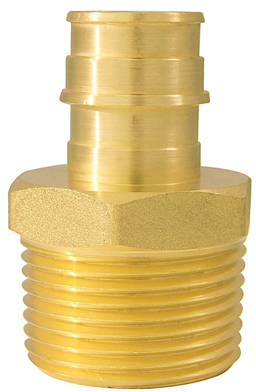 Apollo Valves ExpansionPEX Series EPXMA341 Reducing Pipe Adapter, 3/4 x 1 in, Barb x MPT, Brass, 200 psi Pressure