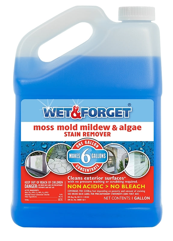 REMOVER MOLD/MLDW STAIN 1 GAL