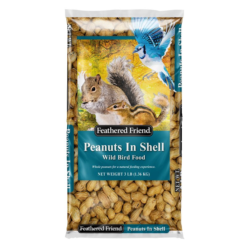 FOOD BIRD PEANUT IN SHELL 3LB