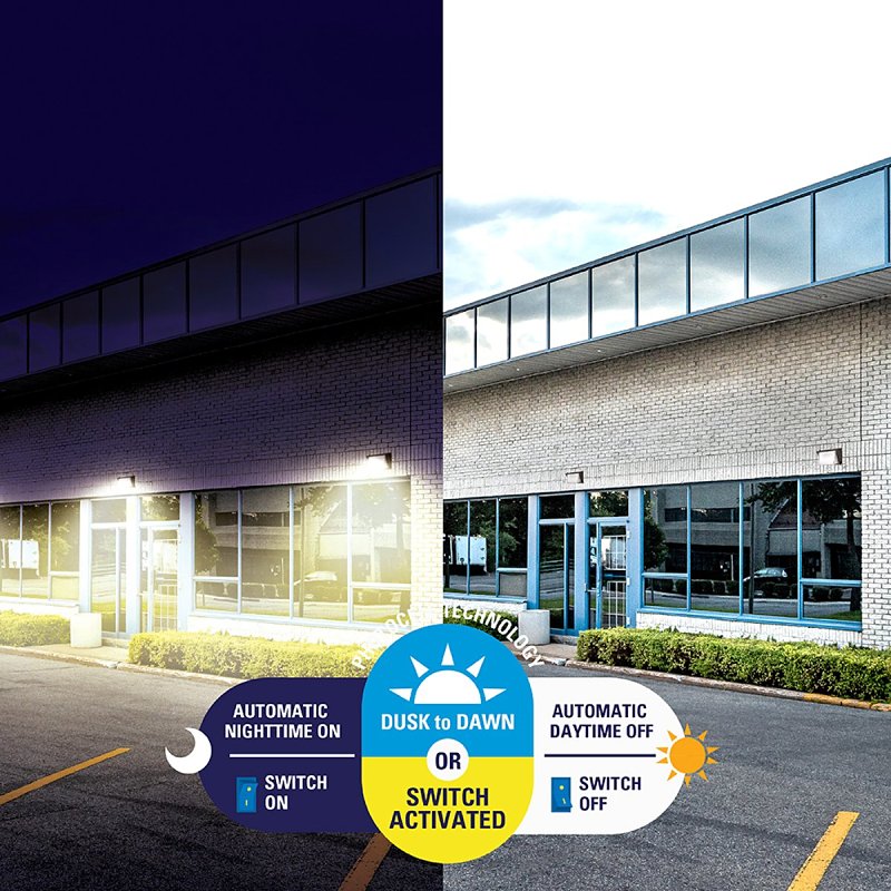 LIGHT WP LED D2D SCCT BRZ 250W