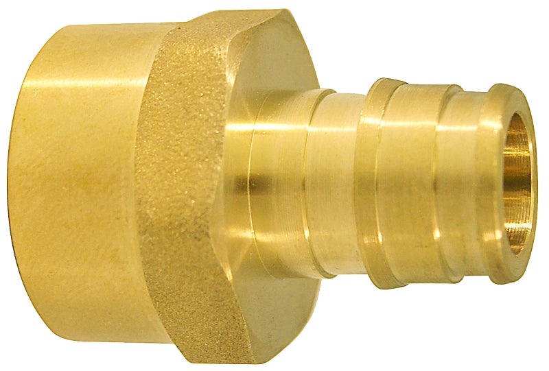 Apollo Valves EPXFA1212 Pipe Adapter, 1/2 in, PEX-A Barb x FPT, Brass, 200 psi Pressure