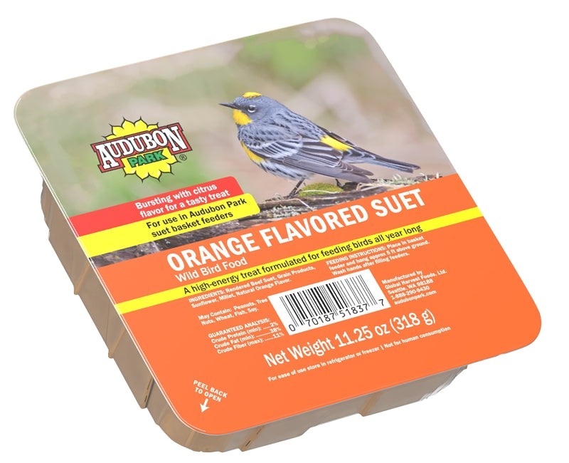 Audubon Park 13768 Wild Bird Food, Suet, Orange, 11.25 oz Box