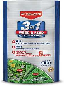 WEED & FEED SOUTHERN LAWN 10LB