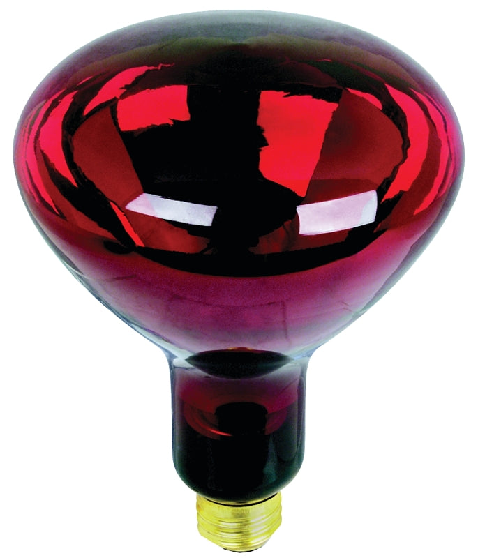 Feit Electric 250R40/R Incandescent Lamp, 250 W, R40 Lamp, Medium E26 Lamp Base, 2700 K Color Temp, 2000 hr Average Life