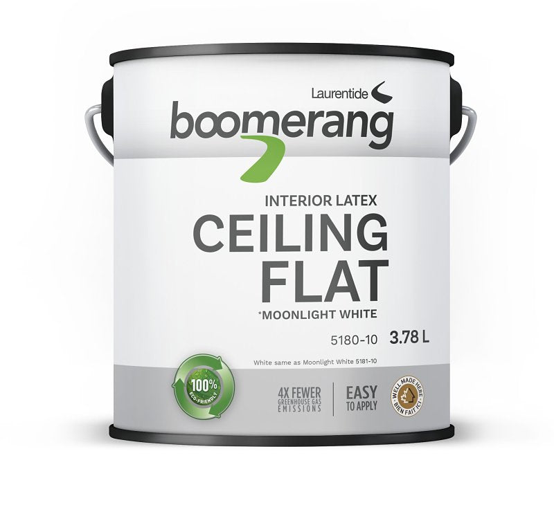 5180 - 10 CEILING PNT WHT3.78L