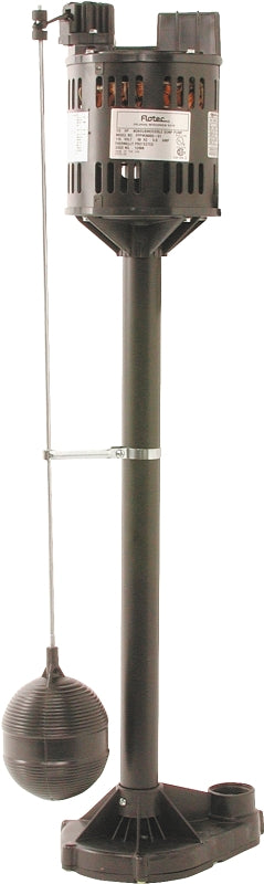 FPPSS3000-09 1/3HP PUMP