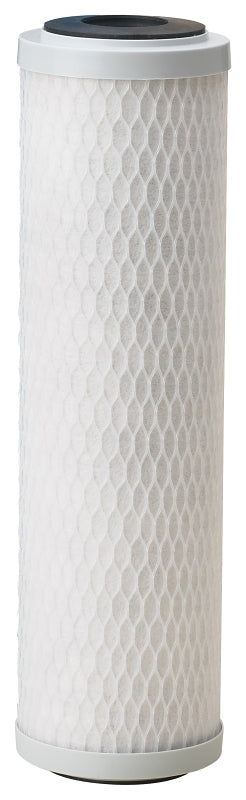 Pentair OMNIFilter Series CB3-SS6-S06 Filter Cartridge