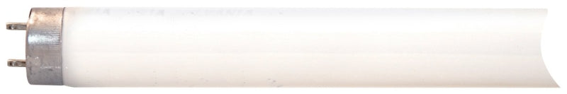 21781 BULB FLUOR T8 32W CW 4FT
