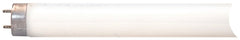 21781 BULB FLUOR T8 32W CW 4FT