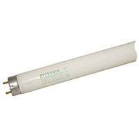 22179 FO38T8SS CW FLU LAMP 4FT