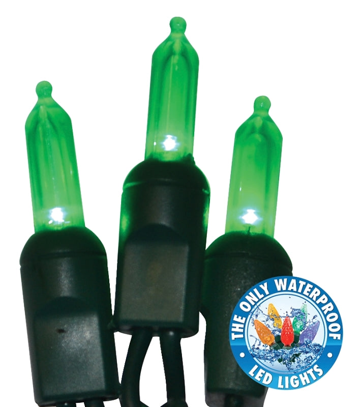 Holiday Bright Lights LEDBX-T550-GR6 Light Set, 50-Lamp, LED Lamp, Green Lamp, 50,000 hr Average Life, 26 ft L