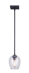 PNDT LIGHT 1LT CLR MATBLK 100W