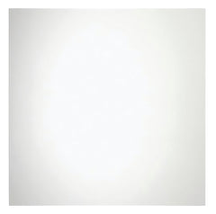 Renin 201320 Frameless Mirror, 36 in L, 36 in W, Square, Clear Frame