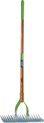 Ames 2915100 Thatch Rake, 15 in W Head, 19-Tine, Steel Tine, 54 in L Handle