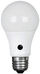A800/927CA/DD/LEDI A19 2700K