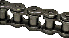 S06100 ROLLER CHAIN #100 10FT