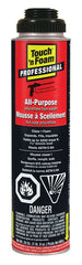 Touch 'n Foam 4004528730 Foam Sealant, Cream, 680 g Aerosol Can