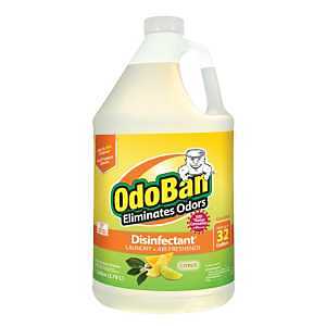 DISINFECTANT CONC CITRUS 1GA