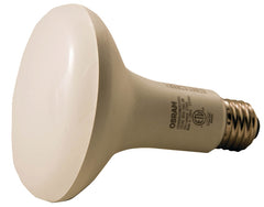73954 BULB LED 10Y 65WBR30 27K