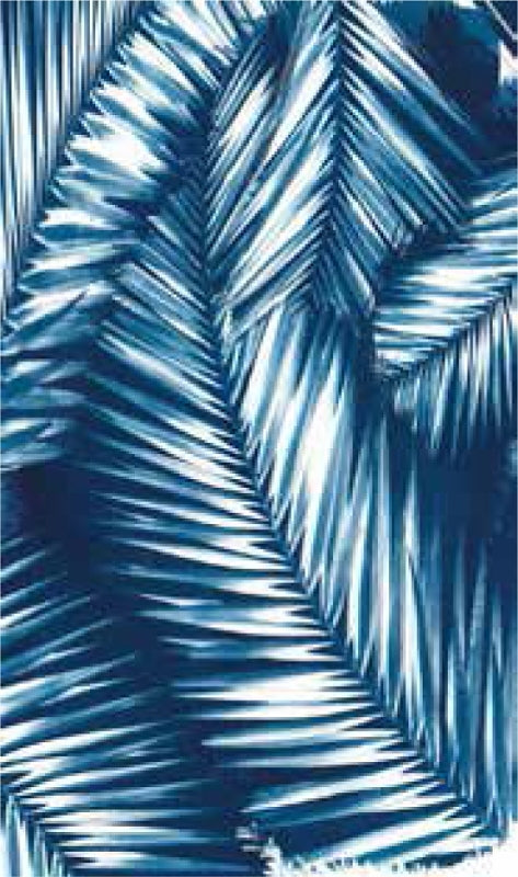 Quagga P11721-NVY Safety Scarf, Navy