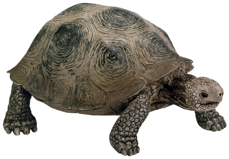 Schleich-S 14601 Figurine, 3 to 8 years, Giant Tortoise, Plastic