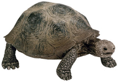 Schleich-S 14601 Figurine, 3 to 8 years, Giant Tortoise, Plastic