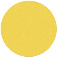 Norton 66261156659 Sanding Disc, 9 in Dia, P220 Grit, Very Fine, Aluminum Oxide Abrasive