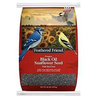 Feathered Friend 14421 Black Oil Sunflower Seed Wild Bird Food, Straight, Seed, 20 lb Bag