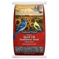 Feathered Friend 14422 Black Oil Sunflower Seed Wild Bird Food, Straight, Seed, 40 lb Bag