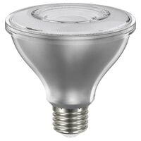 40916 LED PAR30 FLD WW 9W TW