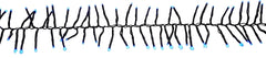 Hometown Holidays 03714 Twinkling Lights, Cluster, LED, Blue