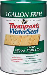 Thompson's WaterSeal TH.090001-06 Wood Sealer, Transparent, Liquid, Clear, 6 gal