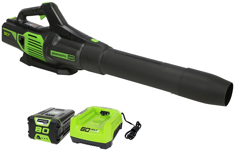 2410002VT BLOWER CORDLESS 80V