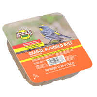 Audubon Park 13768 Sunflower Seed Orange Flavored Suet, 11.25 oz, Box
