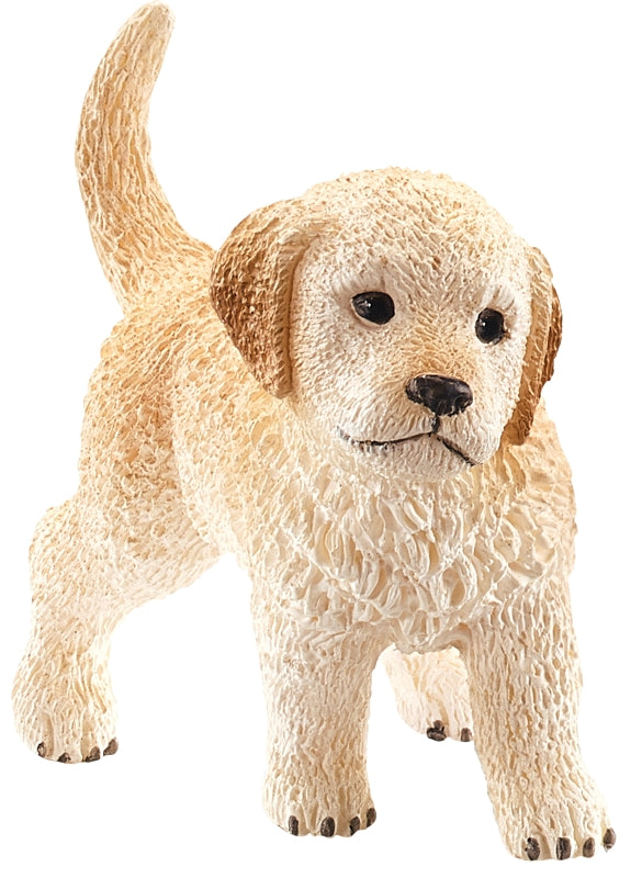 Schleich-S 16396 Toy, 3 to 8 years, Dog, Plastic