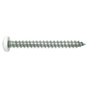 Reliable PKASW834VP Screw, #8-15 Thread, 3/4 in L, Pan Head, Square Drive, Stainless Steel, 100/BX