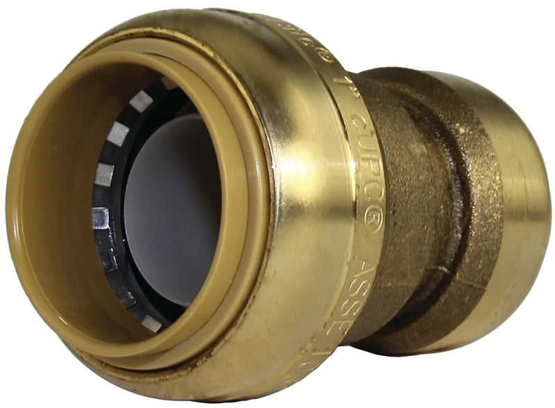 U060LFCA NO LEAD DZR BRASS 1IN